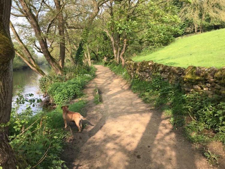 River Airebnb Bradford  Kültér fotó